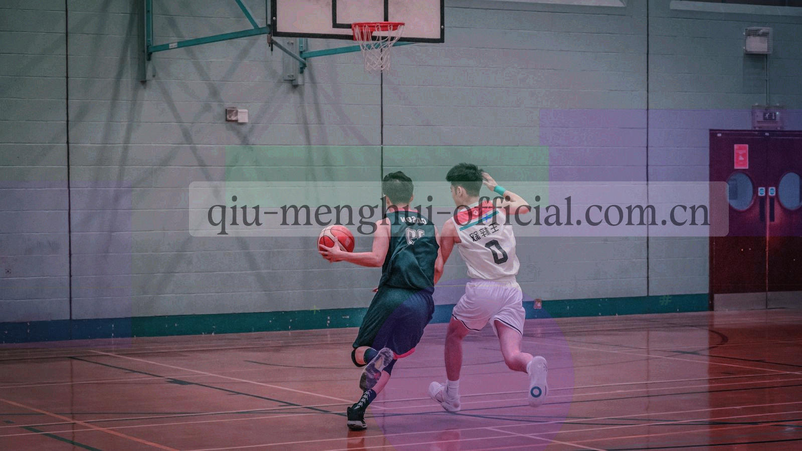 四张观赛产品档案卡悬浮在夜场蓝背景上，带编号与细边框